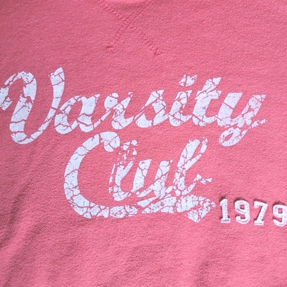 3/$15 🌸 Blue Crush Varsity Club 1979 Hoodie - Picture 5 of 11
